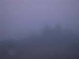 07 : 19