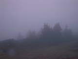 07 : 29