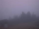 07 : 33