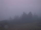 07 : 35