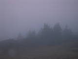 07 : 39
