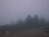 07 : 41