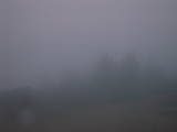 07 : 49