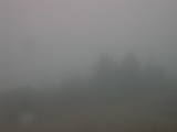 08 : 33