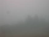 10 : 29