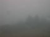 14 : 17
