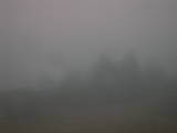 16 : 45