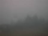 16 : 49