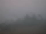 17 : 17