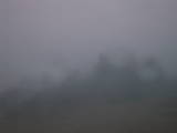 17 : 31