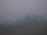 17 : 33