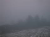07 : 03