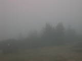 09 : 17