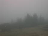 09 : 21