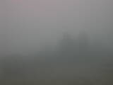 15 : 29