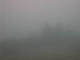 15 : 33