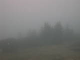 15 : 37
