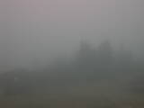 15 : 45