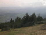17 : 29