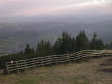 19 : 25