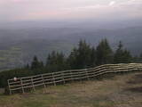 19 : 29