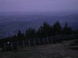 04 : 29