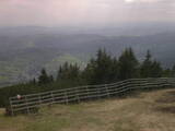 16 : 25