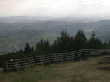 17 : 25