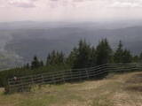 16 : 25