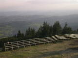 19 : 29
