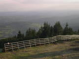 19 : 41