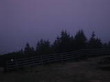 04 : 29