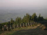 06 : 29