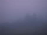 04 : 29
