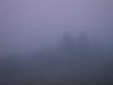 04 : 33