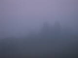 04 : 37