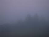 04 : 41
