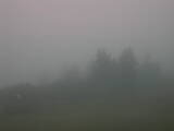 06 : 01