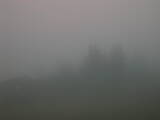 06 : 09