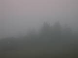 06 : 49