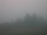 07 : 41