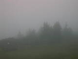 08 : 41