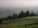 19 : 33