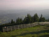 19 : 49