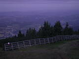 04 : 29