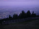 04 : 33