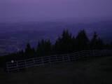 04 : 29