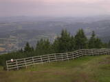 18 : 29