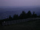 21 : 41