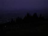 04 : 29